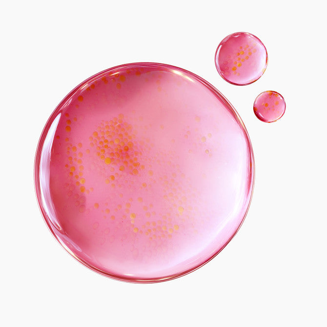 [PURITO] TXA 6 Niacinamide 10 Retinal Serum