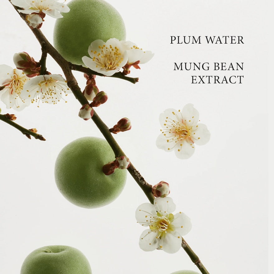 [BEAUTY OF JOSEON] Green Plum Refreshing Cleanser